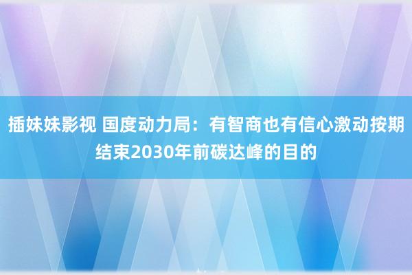 插妹妹影视 国度动力局：有智商也有信心激动按期结束2030年前碳达峰的目的