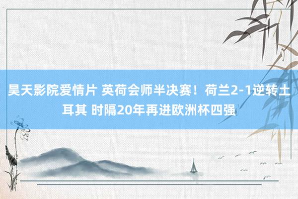 昊天影院爱情片 英荷会师半决赛！荷兰2-1逆转土耳其 时隔20年再进欧洲杯四强